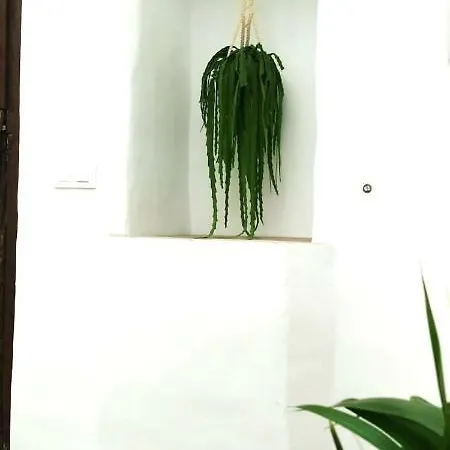 La Fuente 14, Casa Solariega En Pleno Centro Daire *